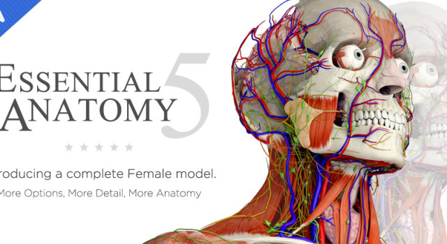 W świecie cyfrowej anatomii – Essential Anatomy 5, recenzja