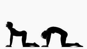 Thread the Needlewww.digitalfitness.in/2014/04/yoga-poses-to-ease-lower-back-pain.html