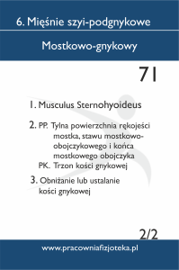 71 Mostkowo-gnykowy 2